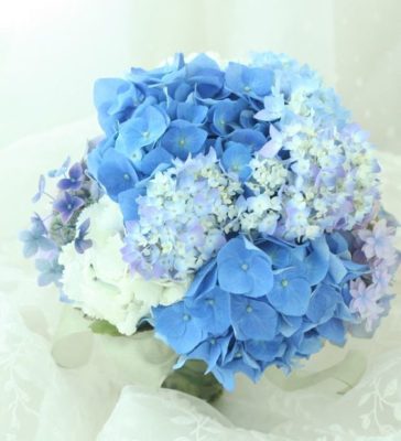 f83363bf7fbf7acea2503f7049967446