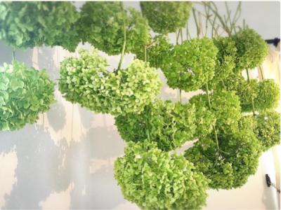 スクリーンショット 2016-07-22 21.18.02