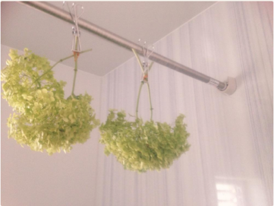 スクリーンショット 2016-07-22 21.13.48