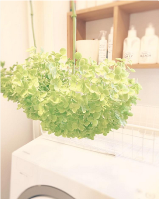 スクリーンショット 2016-07-22 21.19.21