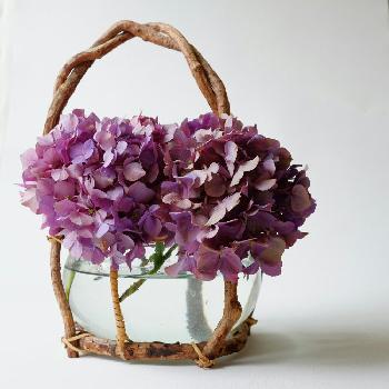 1467419883609_thum_1467419883212_thum_sample