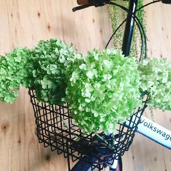 1468973245538_thum_1468973245018_thum_tmp