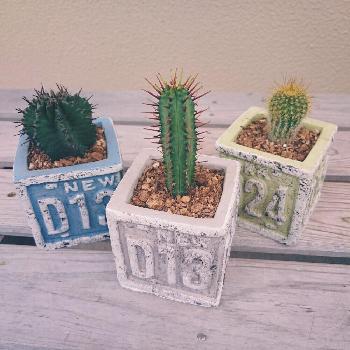 1468383348562_thum_1468383348075_thum_sample