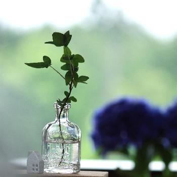 1467188850713_thum_1467188850328_thum_tmp