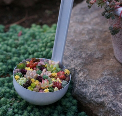 スクリーンショット 2016-07-24 6.54.39