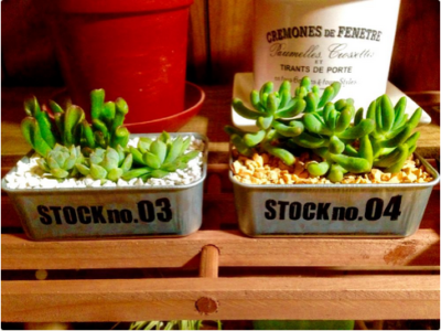 スクリーンショット 2016-07-24 6.59.39