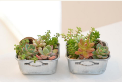 スクリーンショット 2016-07-24 16.06.28