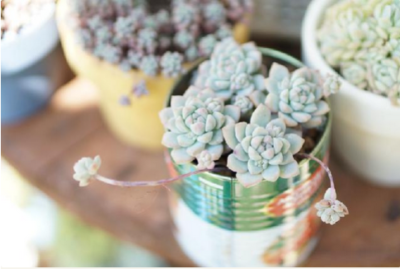 スクリーンショット 2016-07-24 16.13.34