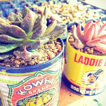 1457353142501_thum_1457353141654_thum_tmp