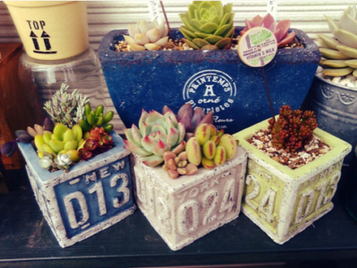 スクリーンショット 2016-07-24 16.43.40