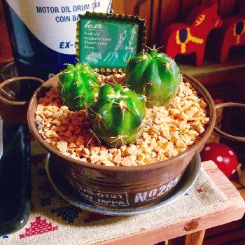 1445679464394_thum_1445679462808_thum_tmp