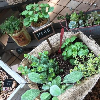 1460980290260_thum_1460980289704_thum_tmp