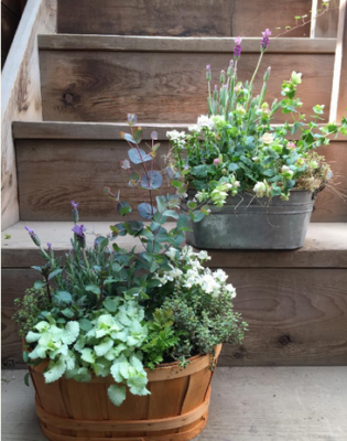 スクリーンショット 2016-08-02 6.28.17