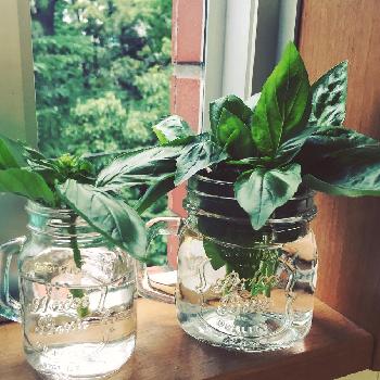 1469178369606_thum_1469178368947_thum_tmp