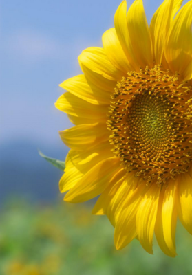 スクリーンショット 2016-08-10 13.29.09