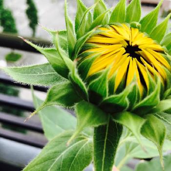 1469442503708_thum_1469442502958_thum_tmp