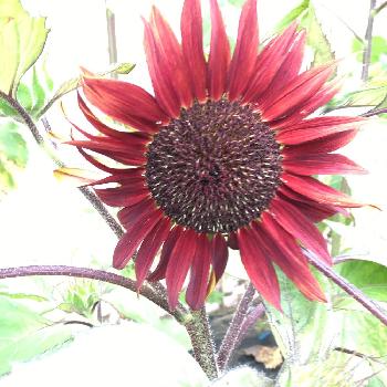 1468384592409_thum_1468384591825_thum_tmp