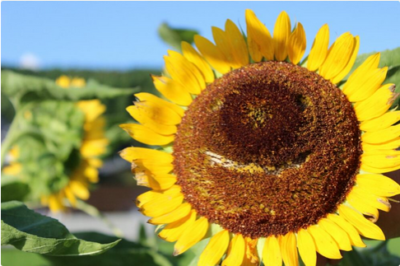 スクリーンショット 2016-08-10 13.38.33