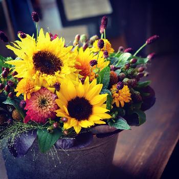 1468497284468_thum_1468497283982_thum_tmp