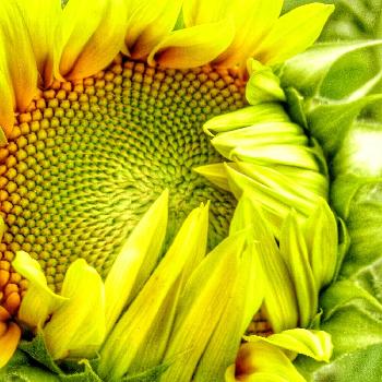 1470104767385_thum_1470104766989_thum_sample