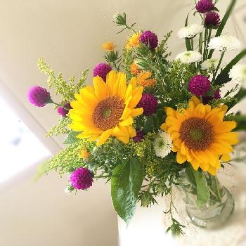 1468193488535_thum_1468193488064_thum_tmp