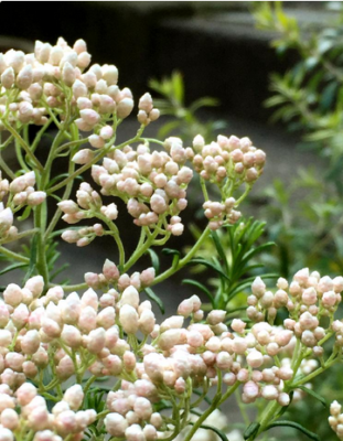 スクリーンショット 2016-08-29 14.12.36