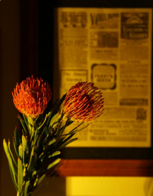 スクリーンショット 2016-08-29 14.16.07