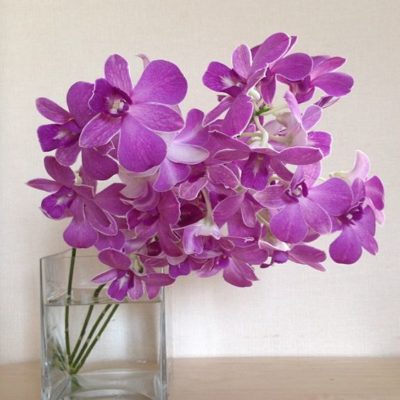 9da0c054ded7b0a815c4f346e61e440b