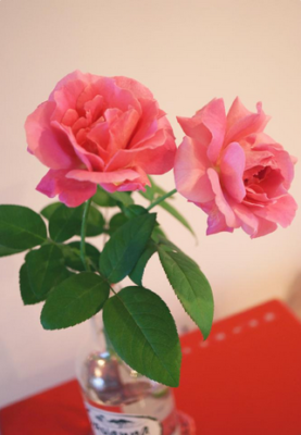 スクリーンショット 2016-09-05 9.30.10