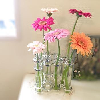 1470630565573_thum_1470630565068_thum_tmp