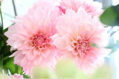 スクリーンショット 2016-09-09 11.43.10