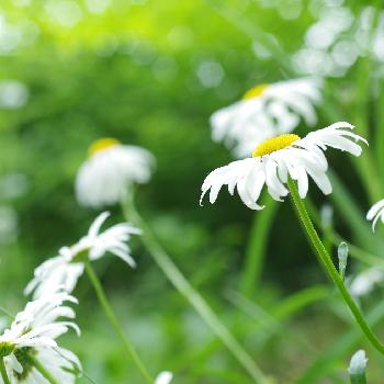 1465430150497_thum_1465430149999_thum_tmp