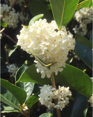 スクリーンショット 2016-09-29 11.01.17