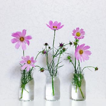 1474365324800_thum_1474365324403_thum_tmp