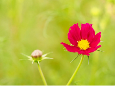 スクリーンショット 2016-10-05 14.21.30