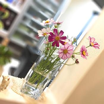 1475626037763_thum_1475626037343_thum_tmp