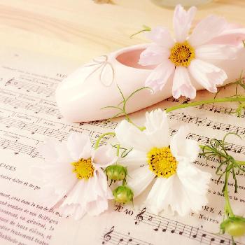 1474786433485_thum_1474786433136_thum_tmp