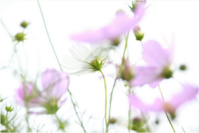 スクリーンショット 2016-10-05 16.12.56