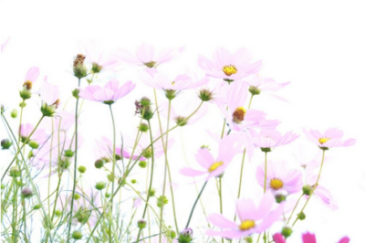 スクリーンショット 2016-10-05 16.17.51