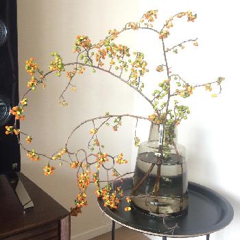 1473483727763_thum_1473483727269_thum_tmp