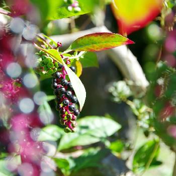 1475816804647_thum_1475816804208_thum_tmp