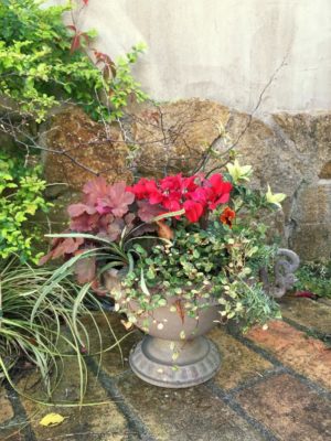 Photo by R子さん@GreenSnap