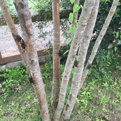 出典元：Instagram