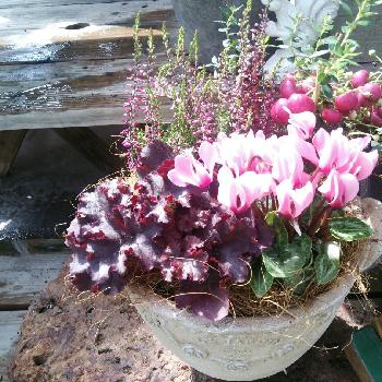 1474925377869_thum_1474925377379_thum_sample