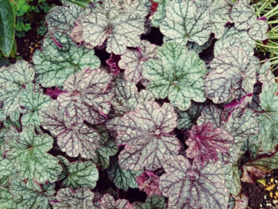 スクリーンショット 2016-10-20 9.48.42