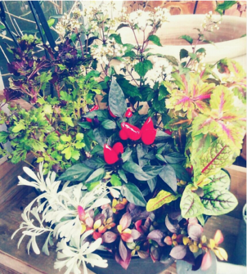 スクリーンショット 2016-10-20 11.08.52