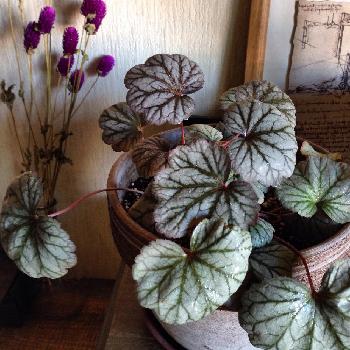 1472998623758_thum_1472998623252_thum_tmp