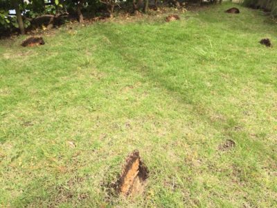 Photo by モンパさん@GreenSnap