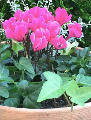 スクリーンショット 2016-10-21 9.40.36