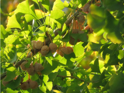 スクリーンショット 2016-10-21 17.37.50